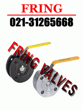 �M�ڱ������y