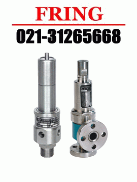 �M�ڸ߉���ȫ�y